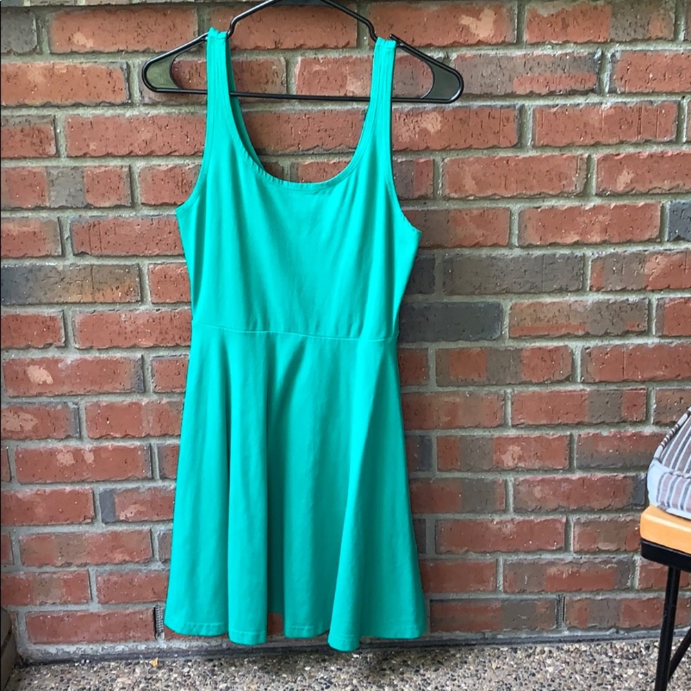 Express Skater Dress